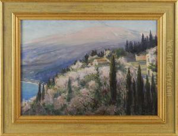 Almond Trees - view 1