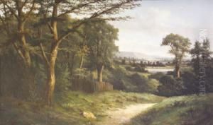 Dargle Valley (1887) by Alice Balch Stone