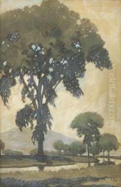 Elm. Signed Lower Right Walter King Stone. Original Illustration For - view 1