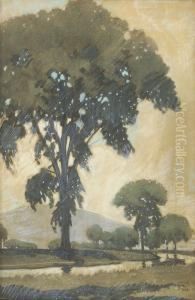Elm. Signed Lower Right Walter King Stone. Original Illustration For by Walter King Stone