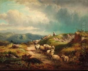 Sheep On A Mountain Track