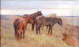 Ponies Grazing In A Coastal Landscape
