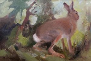 Hare