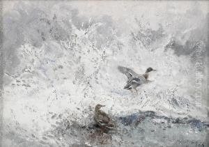 Lyftande Ander
