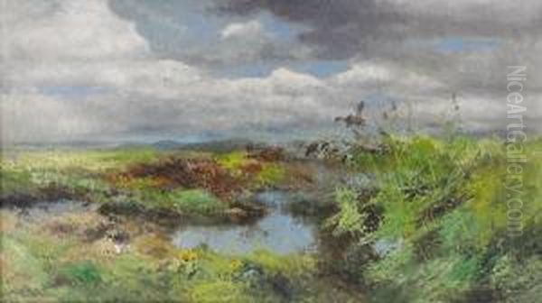 Slattlandskap Med Lyftande Ander - view 1