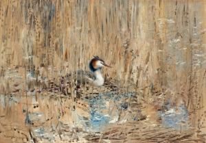 Great Crested Grebe Among The Reeds