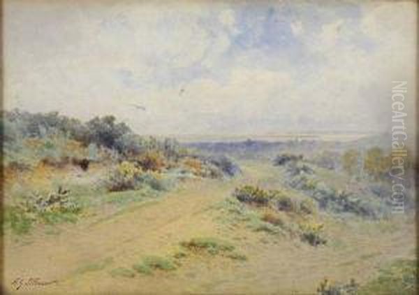 Chemin Dans La Lande - view 1