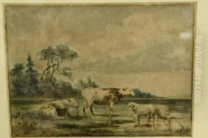 Vee Bij Drenkplaats by Pieter Stortenbeker