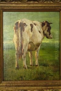 Roodbonte Koe In Weide by Pieter Stortenbeker