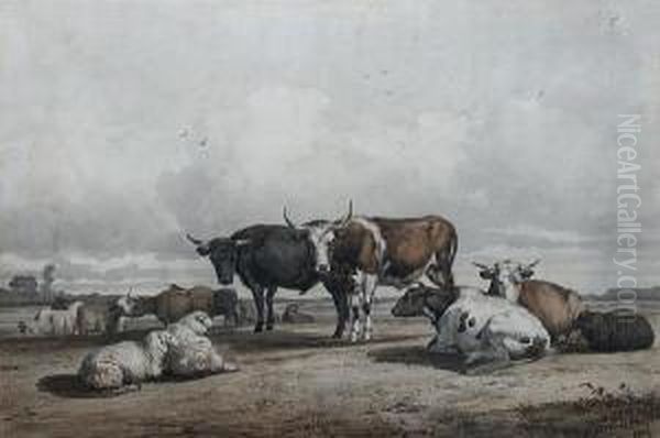 Cattle And Sheep In A Meadow - view 1