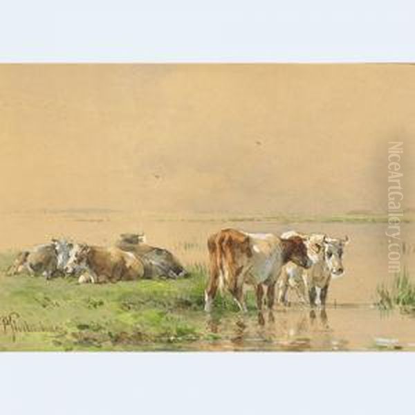 Cattle Resting And Watering - view 1