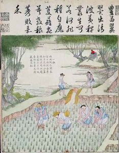 Transplanting, The Rice Culture in China by Anonymous Artist