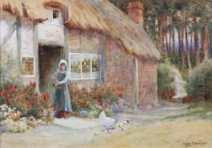 Feeding The Chickens
