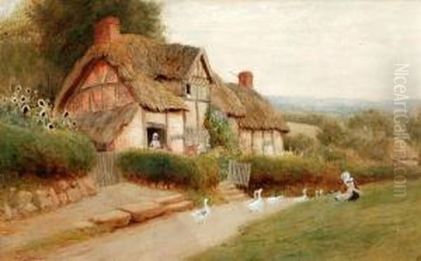 Geese On A Lane Before A Thatchedcottage - view 1