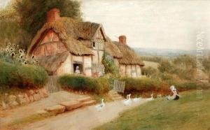 Geese On A Lane Before A Thatchedcottage