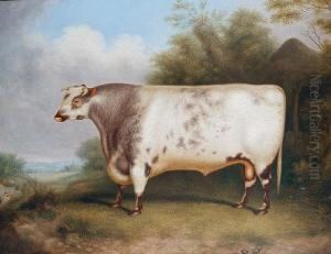 The Duke Of Northumberland
