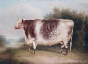 A Shorthorn Bull In An Open Landscape by Henry Strafford