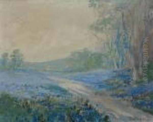 Misty Morning - view 1