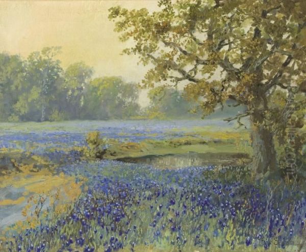 Field With Bluebonnets - view 1