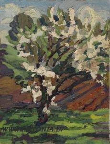 Flowering Tree - view 1