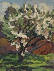 Flowering Tree by Aleksandrs Strals