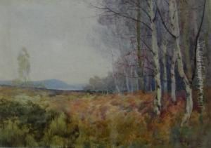 Wooded Landscape Wooded Landscape