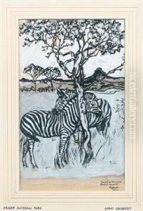 Zebras Grazing In The Kruger