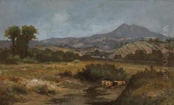 Geyser Peak - view 1