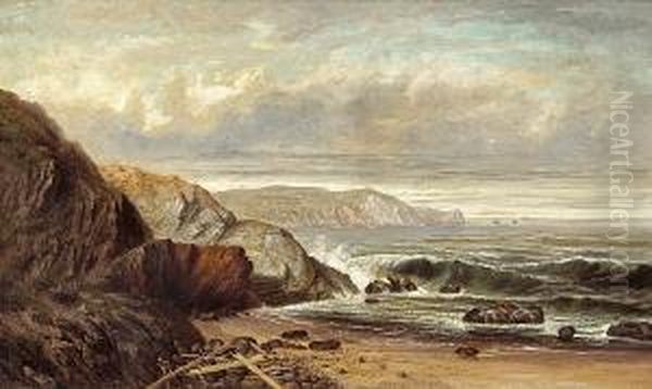 Marin County Beach - view 1