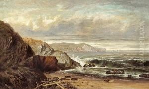 Marin County Beach by Meyer Straus