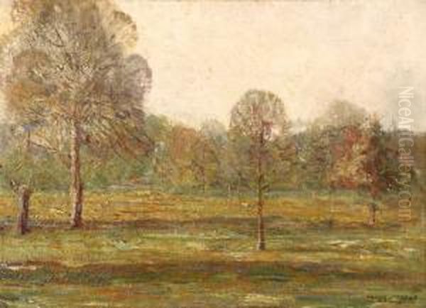 Landscape With Trees - view 1