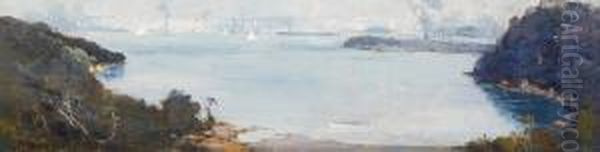 Calm Morning, Sirius Cove - view 1