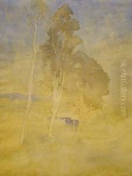Trees - view 1