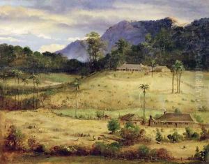 Homesteads, c.1850