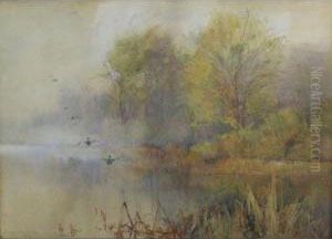 Misty Lake Scene