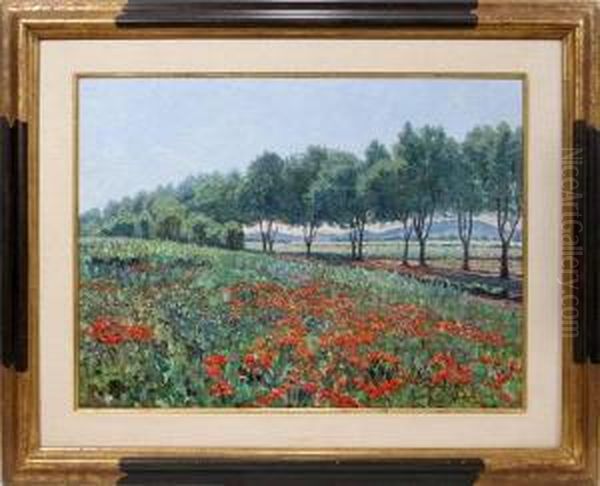 Landscape With Poppy Fields - view 1
