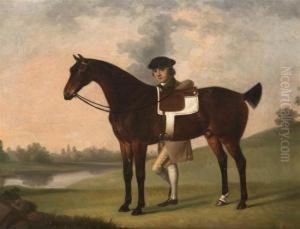 Chestnut Bay With Groom Standing Astride