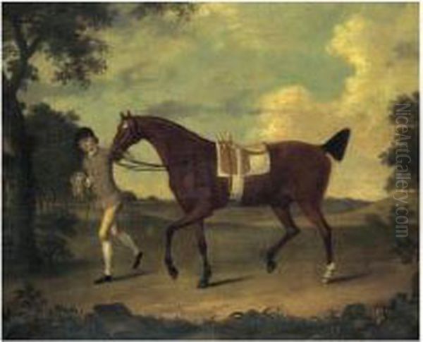 Sprightly, A Lady's Hack Held By A Groom - view 1