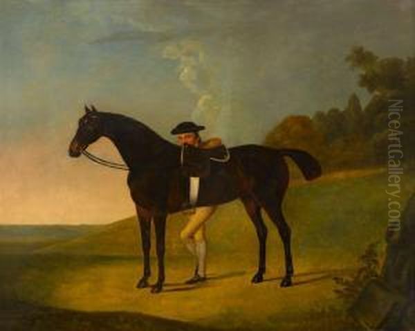 A Bay With Groom In Landscape - view 1