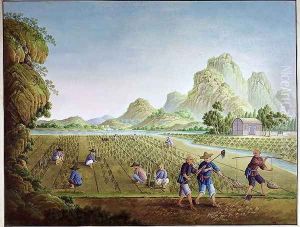 Rice cultivation in China, transplanting plants by Anonymous Artist
