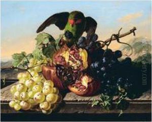 Parrot Stealing Fruit by Antal Jozsef Strohmayer