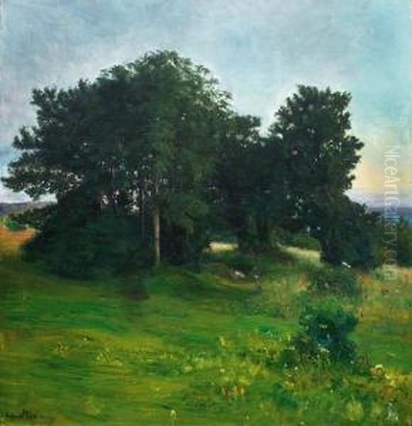 Lovtraer, Aftenlys 1898 - view 1