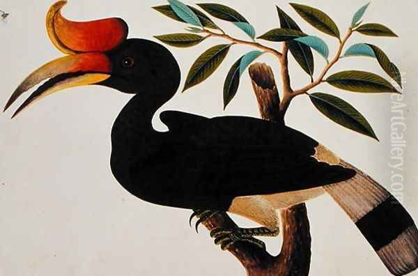 Ingang, from 'Drawings of Birds from Malacca', c.1805-18 (2) - view 1