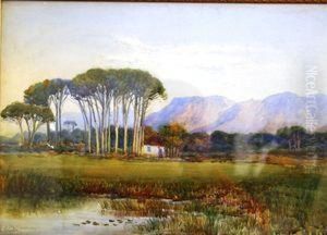 Rondebosch Common by Edith Francis Mary Struben