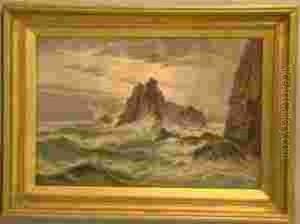 The Haunts Of The Sea Birds by A.G. Strutland