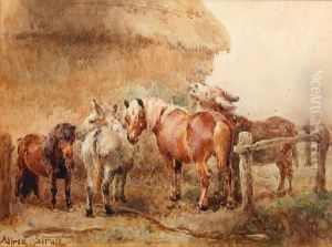 A Pack Of Thieves