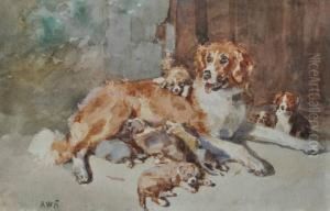 Dog Andpuppies