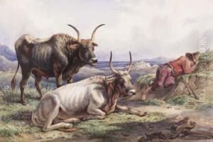 Riposo Nella Palude