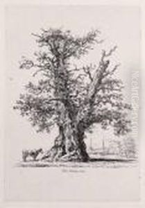 Sylva Britannica by Jacob George Strutt