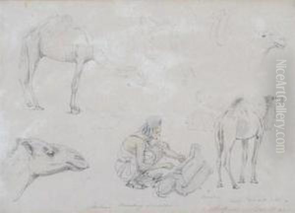 Nubian Mending Saddle - view 1